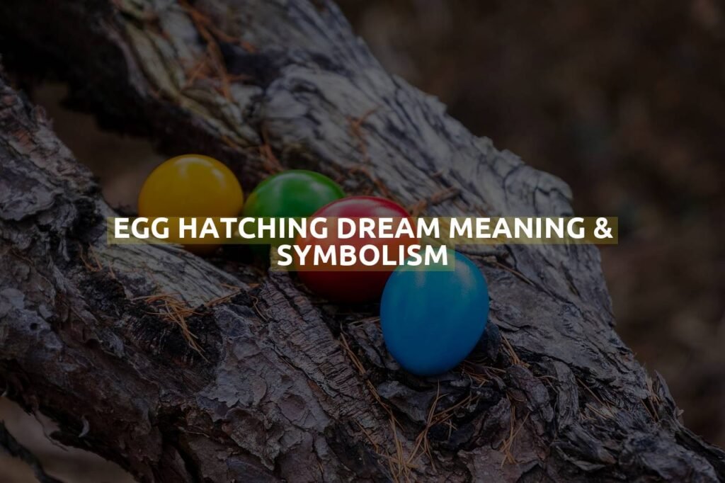 Egg Hatching Dream Meaning & Symbolism