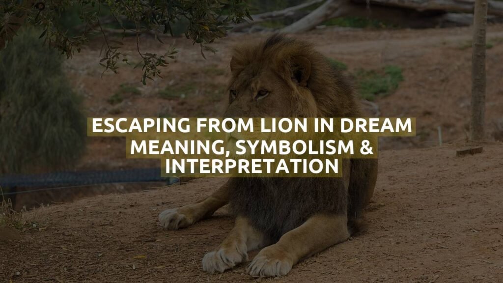 Escaping From Lion In Dream Meaning, Symbolism & Interpretation