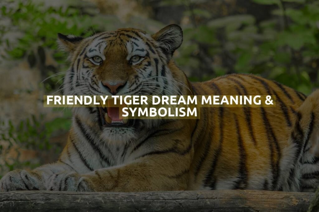 Friendly Tiger Dream Meaning & Symbolism