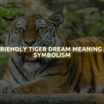 Friendly Tiger Dream Meaning & Symbolism