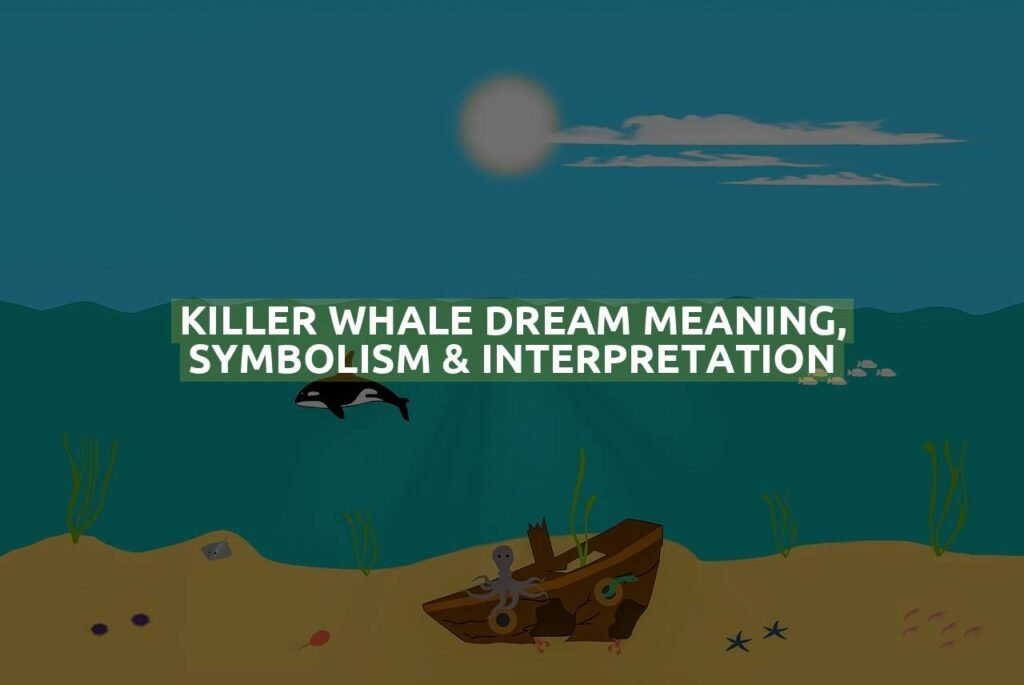 Killer Whale Dream Meaning, Symbolism & Interpretation