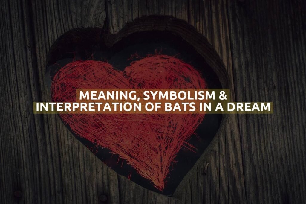 Meaning, Symbolism & Interpretation Of Bats In A Dream