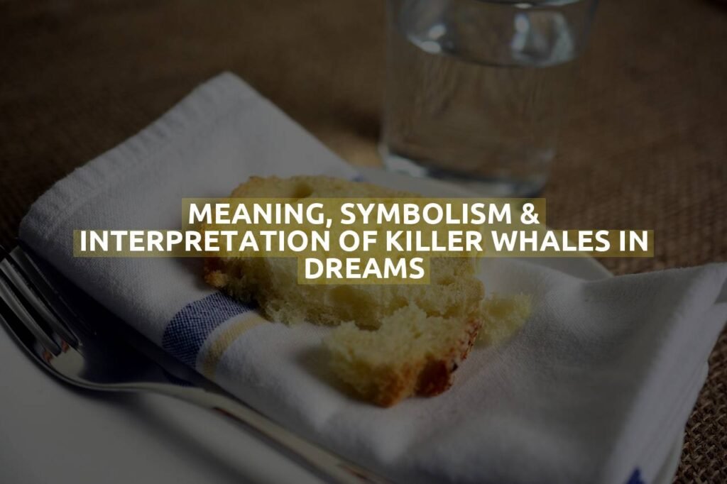 Meaning, Symbolism & Interpretation Of Killer Whales In Dreams