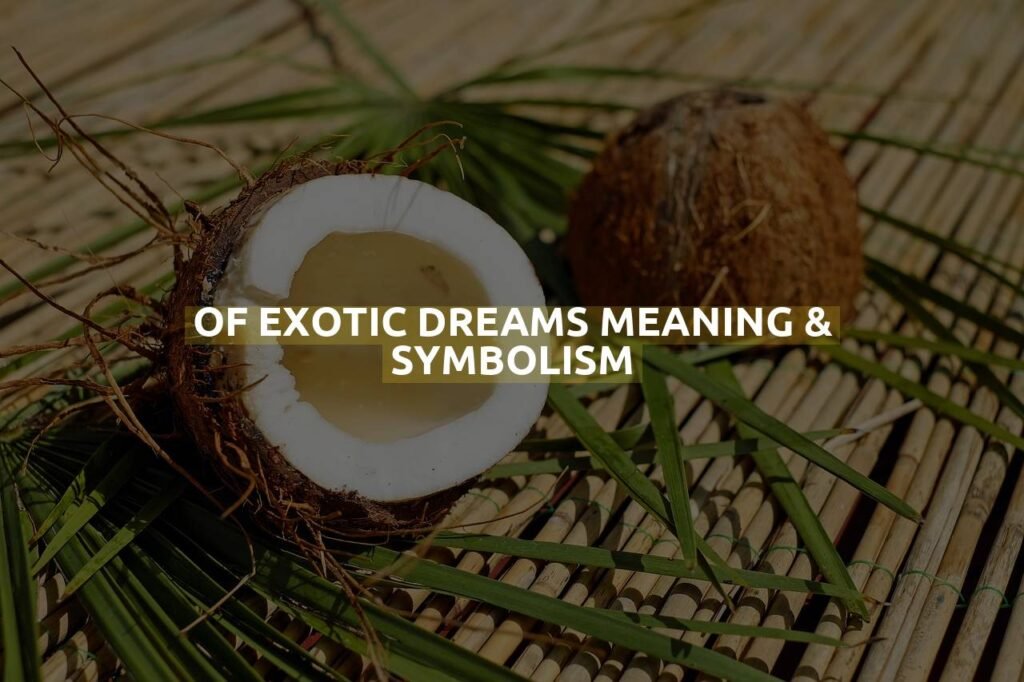 Of Exotic Dreams Meaning & Symbolism