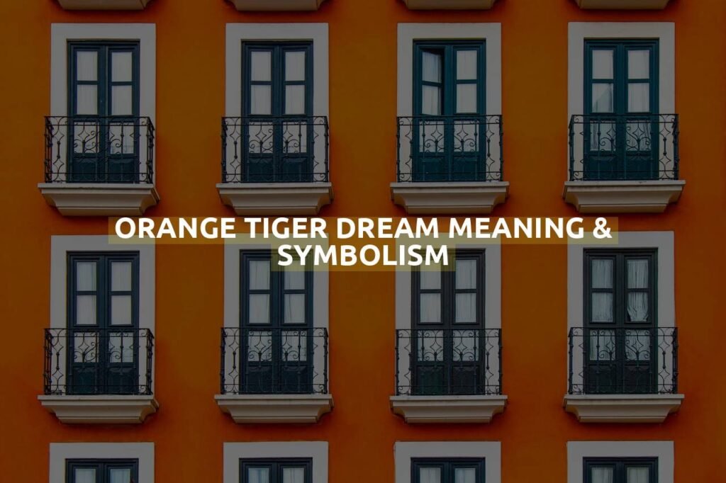 Orange Tiger Dream Meaning & Symbolism