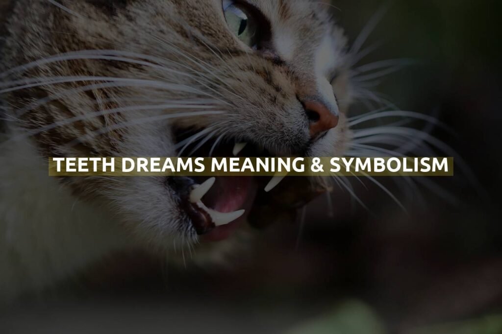 Teeth Dreams Meaning & Symbolism