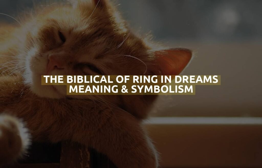 The Biblical Of Ring In Dreams Meaning & Symbolism