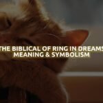 The Biblical Of Ring In Dreams Meaning & Symbolism