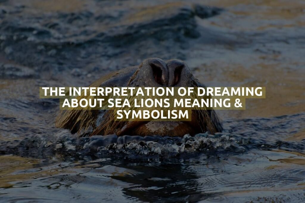 The Interpretation Of Dreaming About Sea Lions Meaning & Symbolism