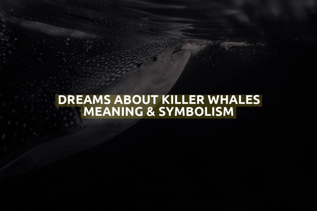 Dreams About Killer Whales Meaning & Symbolism