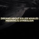 Dreams About Killer Whales Meaning & Symbolism