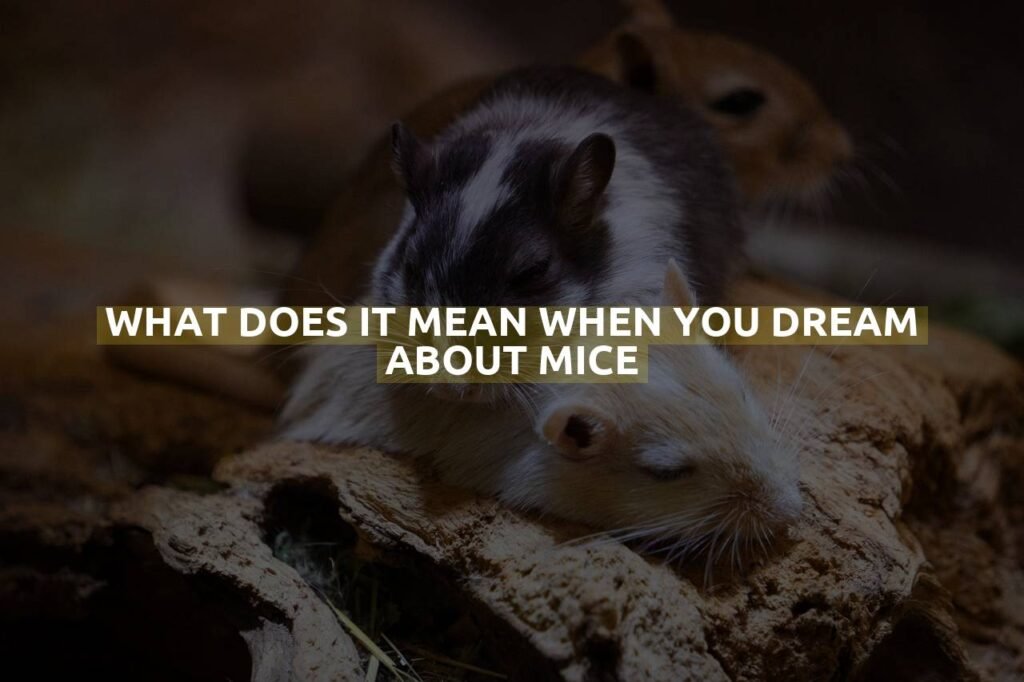 What Does It Mean When You Dream About Mice