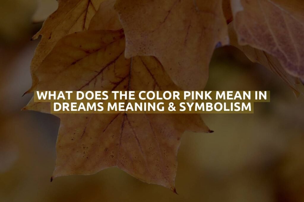 What Does The Color Pink Mean In Dreams Meaning & Symbolism