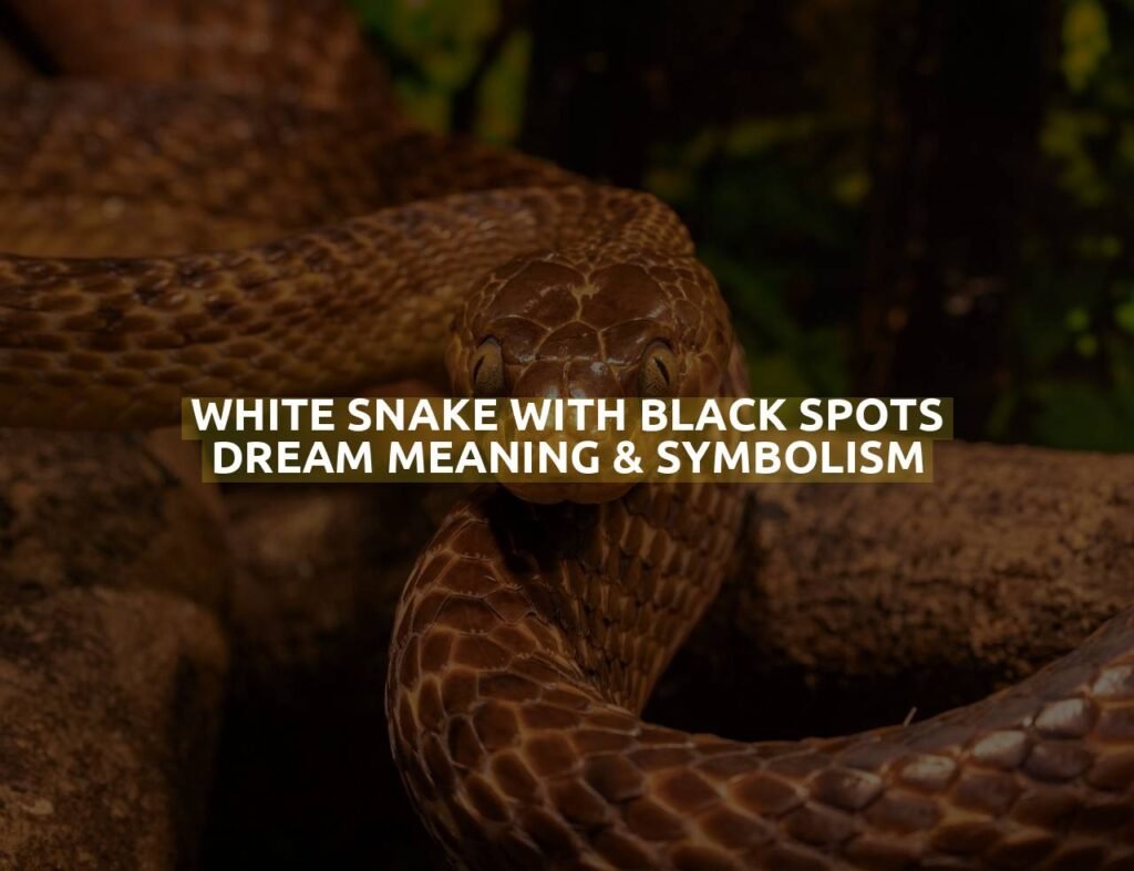 White Snake With Black Spots Dream Meaning & Symbolism