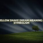 Yellow Snake Dream Meaning & Symbolism