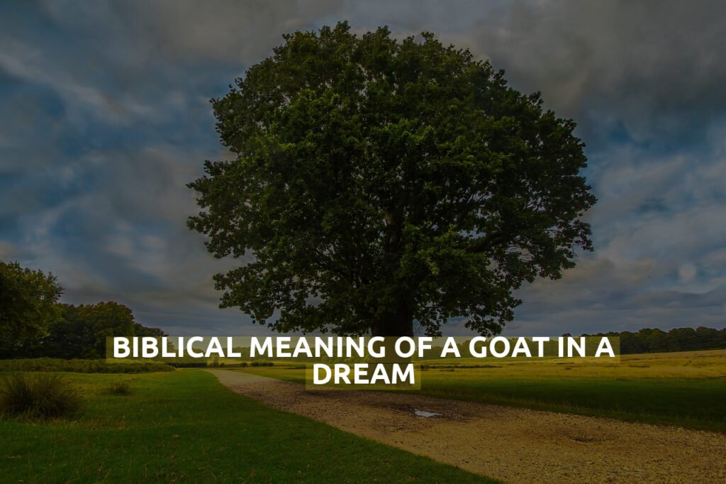 Biblical Meaning Of A Goat In A Dream