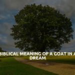 Biblical Meaning Of A Goat In A Dream