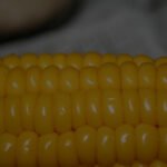 Biblical Meaning Of Corn In A Dream