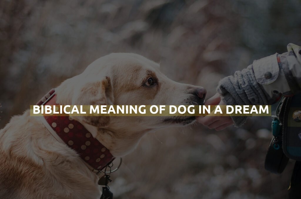 Biblical Meaning Of Dog In A Dream