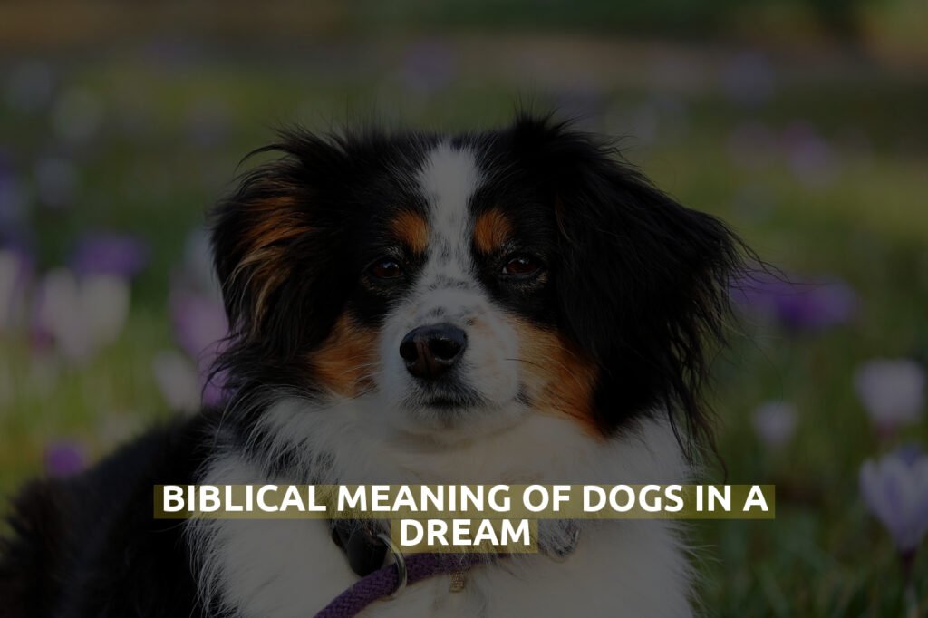 Biblical Meaning Of Dogs In A Dream