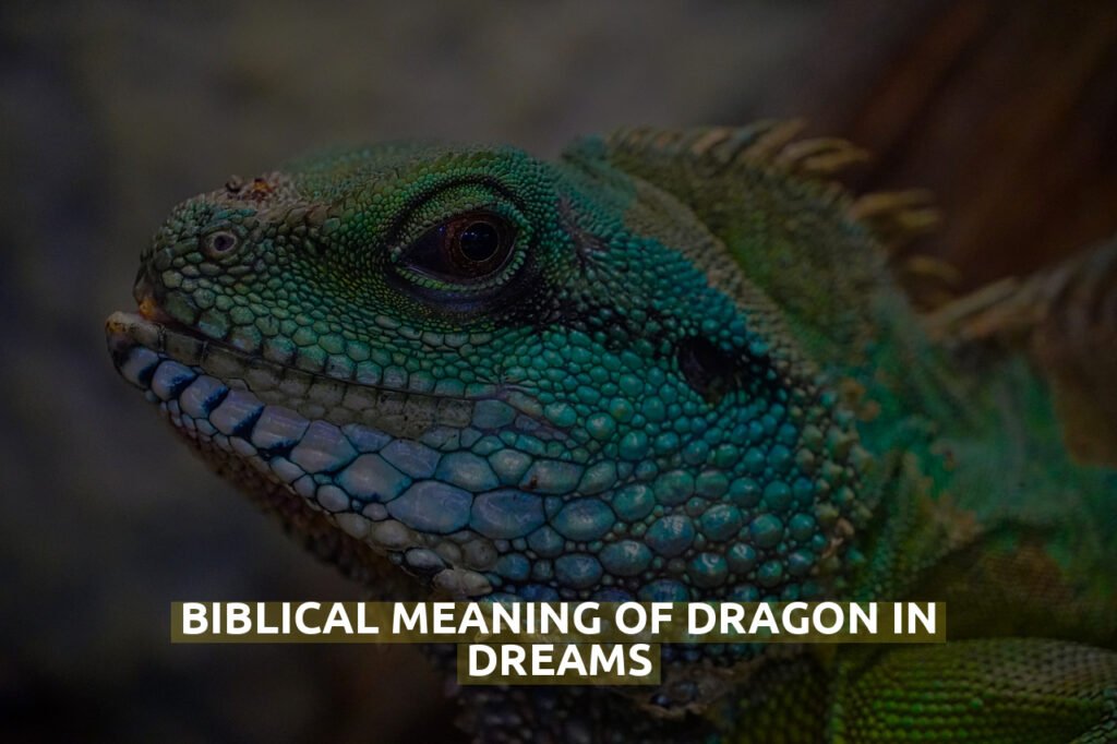 Biblical Meaning Of Dragon In Dreams