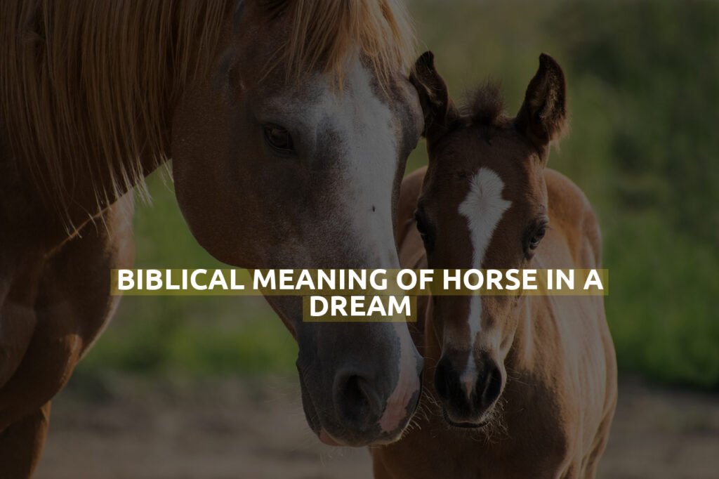 Biblical Meaning Of Horse In A Dream