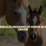 Biblical Meaning Of Horse In A Dream