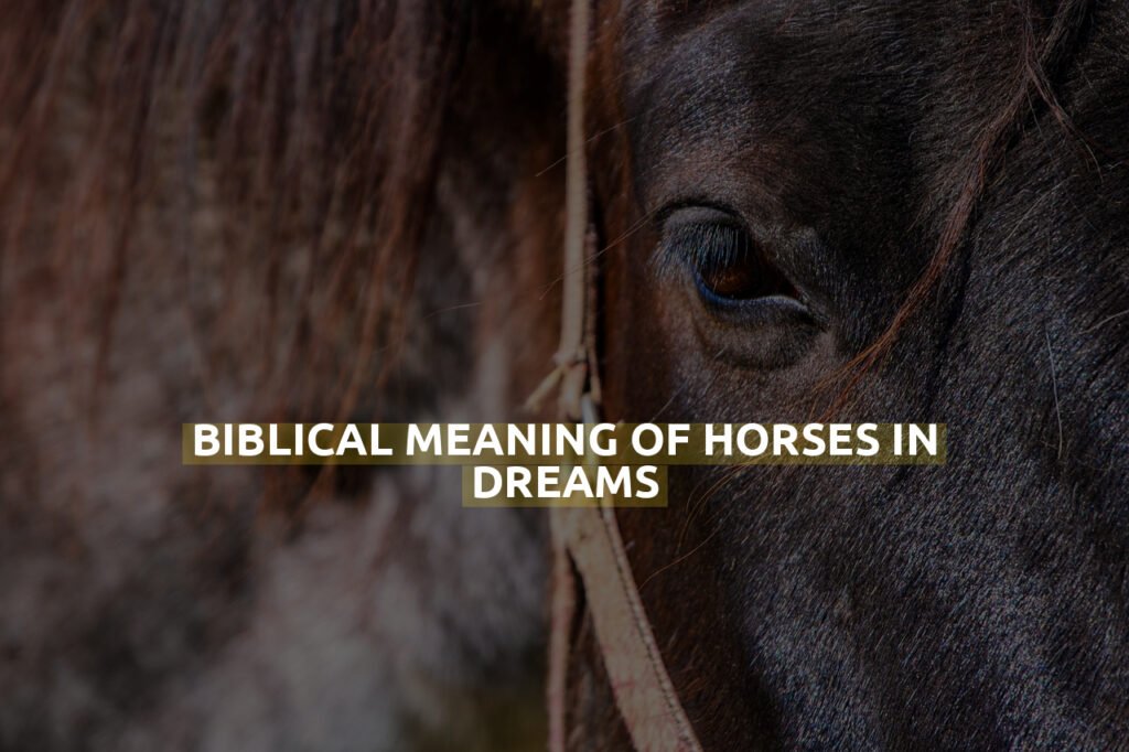 Biblical Meaning Of Horses In Dreams