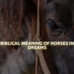 Biblical Meaning Of Horses In Dreams