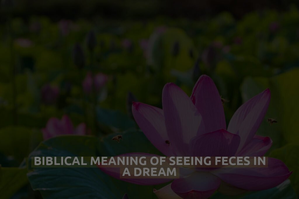 Biblical Meaning Of Seeing Feces In A Dream