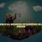 Biblical Meaning Of Sleeping In A Dream