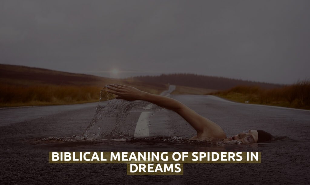 Biblical Meaning Of Spiders In Dreams