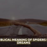 Biblical Meaning Of Spiders In Dreams