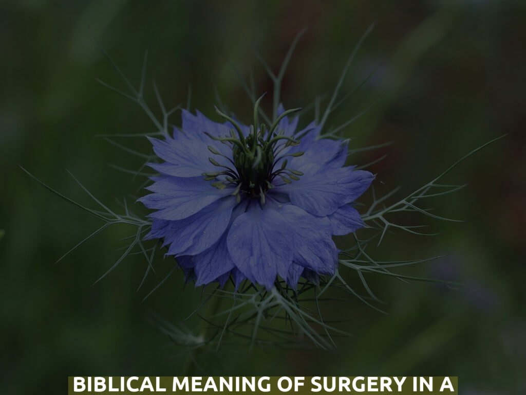 Biblical Meaning Of Surgery In A Dream