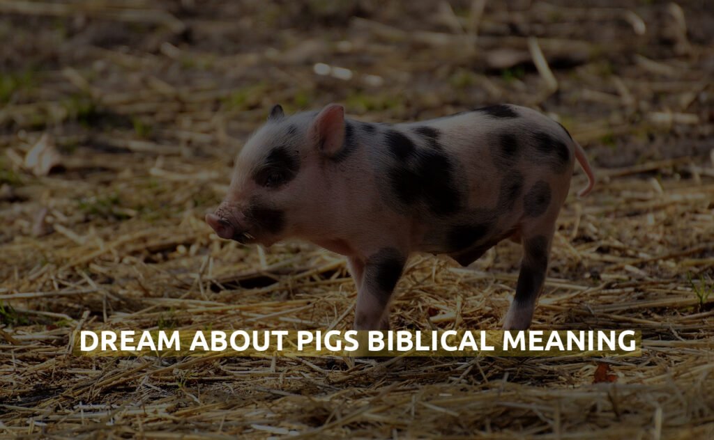 Dream About Pigs Biblical Meaning