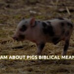 Dream About Pigs Biblical Meaning