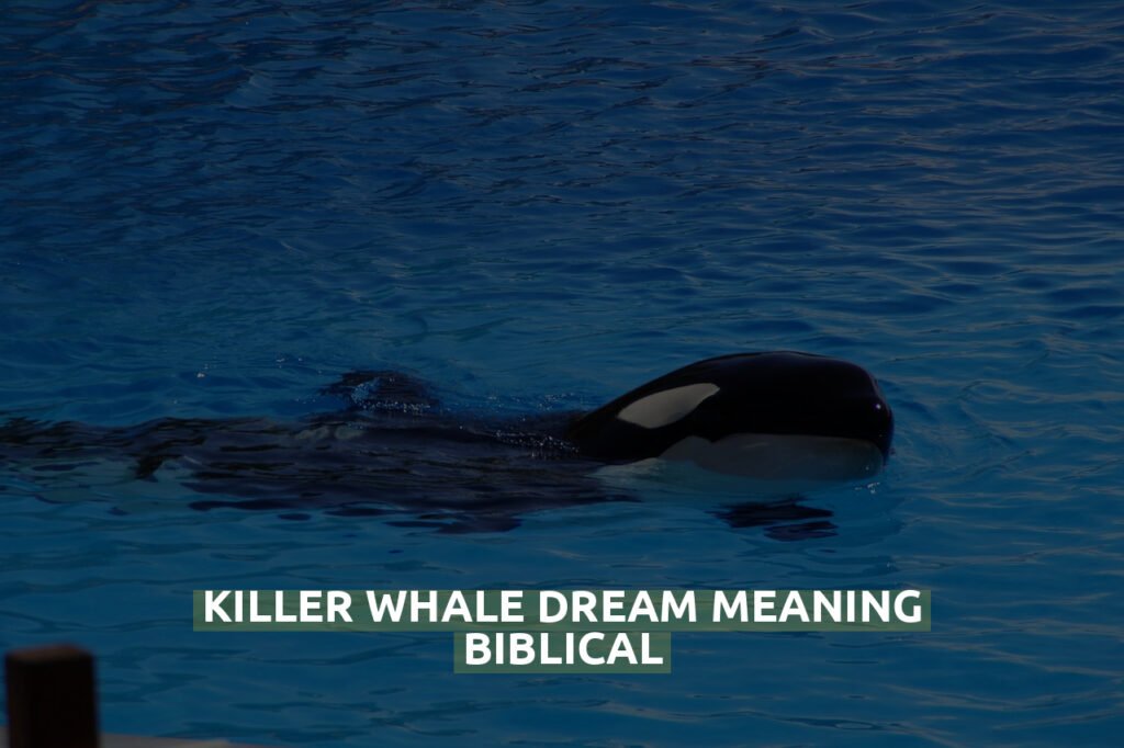 Killer Whale Dream Meaning Biblical