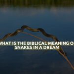 What Is The Biblical Meaning Of Snakes In A Dream